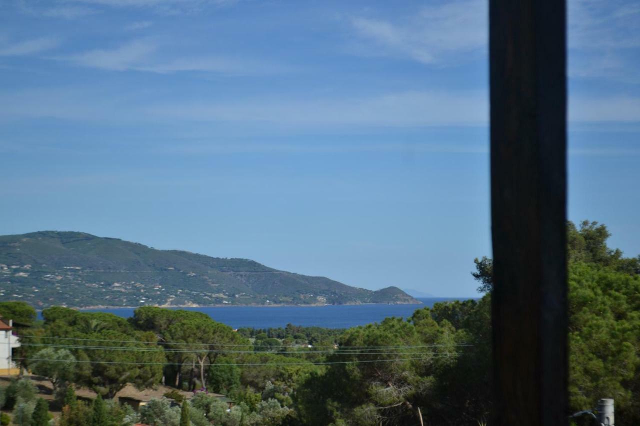 Fillirea * Capoliveri (Isola d'Elba)